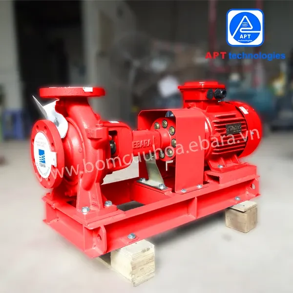 Bom Cuu Hoa 100x80 fs Ja